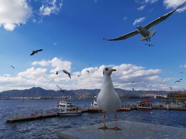 策利配资 多地宣布发钱奖励结婚，浙江优化完善高校在校学生婚育相关制度