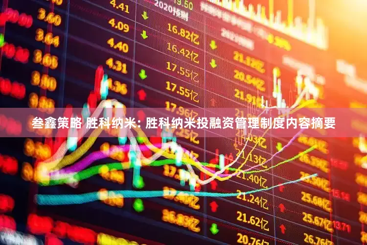 叁鑫策略 胜科纳米: 胜科纳米投融资管理制度内容摘要
