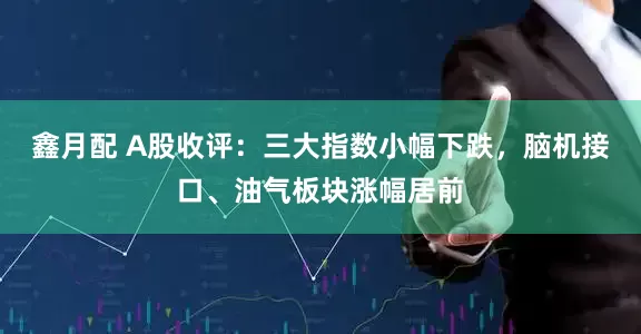鑫月配 A股收评：三大指数小幅下跌，脑机接口、油气板块涨幅居前