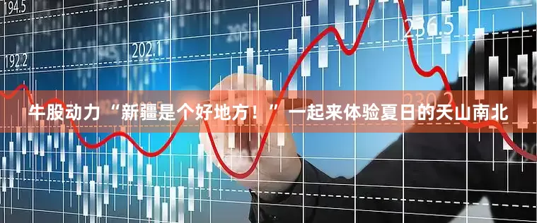 牛股动力 “新疆是个好地方！” 一起来体验夏日的天山南北